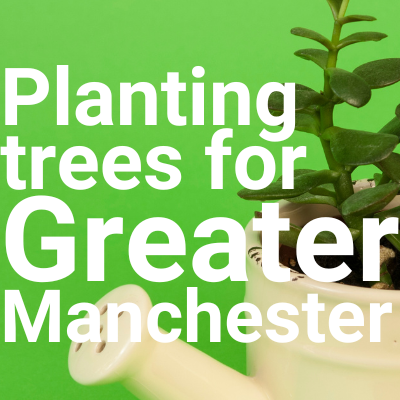 Let’s plant some trees in 2023